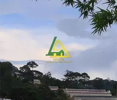 CHO THUÊ ĐẤT TRỐNG LÀM HOME - CAMPING P10 ĐÀ LẠT