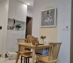 Chính Chủ bán Gấp Căn Hộ 2N2VS, full đồ đẹp, hướng mát