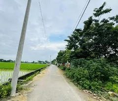 Bán 75.8m2 đất thổ cư Hương Trầm, Thụy Lâm, Đông Anh, Hà Nội