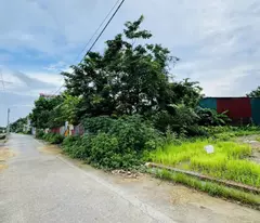 Bán 75.8m2 đất thổ cư Hương Trầm, Thụy Lâm, Đông Anh, Hà Nội