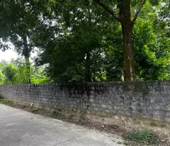 Bán 1174m2 đất mặt tiền 20m giá 2,3 tỷ, ngay KCN Nam Lương Sơn, thông tin bên dưới bài