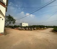 Đất MỄ Sở, 95m, mt 5m, hậu 5.2m, đường thông 4m, gần đấu giá, vành đai 4, 3,39ty