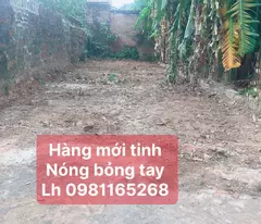 GIÁ RẺ TỤT QUẦN CHỈ CÓ HƠN 900 TR DT 60 M FUN THỎO CƯ TẠI VỤ BẢN MINH TRI ĐƯỜNG THÔNG Ô TÔ CHẠY