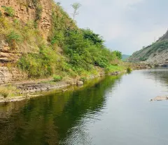 Chỉ từ 1tr/m2 đã có ngay 1 Ha đất nông nghiệp tại Đà Lạt Lâm Đồng.