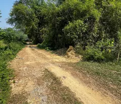 Cần bán đất đồi làm Homestay, kinh doanh dịch vụ du lịch, diện tích 1,3ha giá 1,5 tỷ.