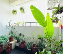 Cần bán căn hộ NO12-3 KĐT Sài Đồng,Long Biên 73m2 2PN giá chỉ 3.5 tỷ