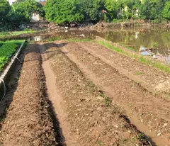 Bán đất trục chính đức nhuận 127m view giá đầu tư