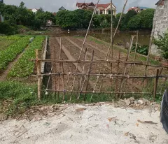 Bán đất trục chính đức nhuận 127m view giá đầu tư