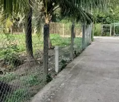 Đất Cần Bán Đất Vườn Có Thổ Cư tại An Sơn 32, Xã An Sơn , Thành Phố Thuận An, Bình Dương  500 mét