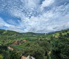 💥 Bán đất nền vùng ven Đà Lạt - Diện Tích 500m² - SHR - Giá Chỉ 790 Triệu 💥