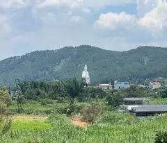 💥 Bán đất nền vùng ven Đà Lạt - Diện Tích 500m² - SHR - Giá Chỉ 790 Triệu 💥