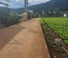 💥 Bán đất nền vùng ven Đà Lạt - Diện Tích 500m² - SHR - Giá Chỉ 790 Triệu 💥