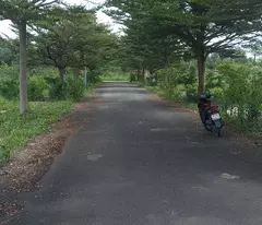 BÁN ĐẤT THUNG LŨNG XANH LONG THÀNH ĐỒNG NAI