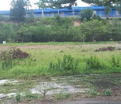 BÁN ĐẤT THUNG LŨNG XANH LONG THÀNH ĐỒNG NAI