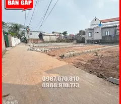 Bán đất thổ cư tại xã Tự Nhiên, Thường Tín, Hà Nội, Giá chỉ 2x triệu/m, 92m2
