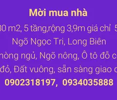 Mua được căn nhà này, vợ chồng hết cãi nhau