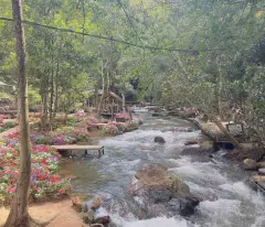 Đất nền Đà Lạt bán cắt lỗ, vị trí đẹp, phù hợp làm nhà kính, Homestay cho thuê.