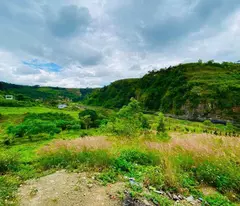 Đất nền Đà Lạt bán cắt lỗ, vị trí đẹp, phù hợp làm nhà kính, Homestay cho thuê.
