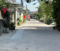 Bán 100m2 đất thổ cư Hà Lâm 2, Thụy Lâm, Đông Anh, Hà Nội