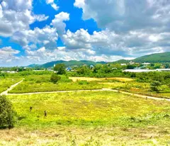 🏡 BÁN NHANH ĐẤT VEN ĐÀ LẠT, BÊN SUỐI – SHR – CÓ SẴN ONT