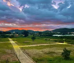🏡 BÁN NHANH ĐẤT VEN ĐÀ LẠT, BÊN SUỐI – SHR – CÓ SẴN ONT