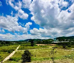 🏡 BÁN NHANH ĐẤT VEN ĐÀ LẠT, BÊN SUỐI – SHR – CÓ SẴN ONT