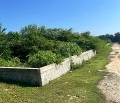Bình thuận: cắt lỗ 4888m2 đất mặt tiền biển đồi.