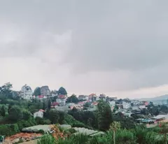 🔥🔥 BÁN ĐẤT BIỆT THỰ NAM HỒ - PHƯỜNG 11 - ĐÀ LẠT - GIÁ ĐẦU TƯ 🔥🔥
