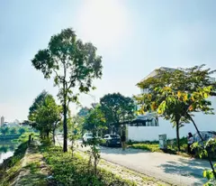 Bán 230m2 (10x23m) thổ cư toàn bộ đối diện cánh đồng diều Thủ Đức, cách ngã tư Bình Phước 2km