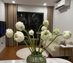 Bán nhanh căn hộ toà I4,tầng trung,hướng mát