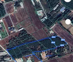 ĐẤT MẪU ,LỘC AN . LONG THÀNH ĐỒNG NAI