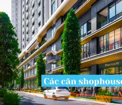 Chính chủ cần bán căn hộ 3PN + 3VS, 93m2, tại chung cư Viha Leciva - 107 Nguyễn Tuân