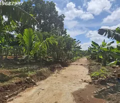 BÁN 9 SÀO ĐẤT ĐƯỜNG 19.5 - TP. BUÔN MA THUỘT - 450TRIỆU/ SÀO