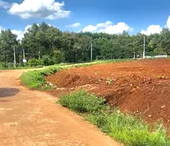 BÁN RẺ 2 MIẾNG (32x65=2.080M2)GIÁ 330TRIỆU,SỔ HỒNG RIÊNG,SÁT DÂN CƯ,NGÂN HÀNG,CHỢ,TRƯỜNG
