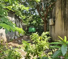 Chính chủ bán gấp đất Thúy Lĩnh Hoàng Mai  85m2 5m mặt tiền 4 tầng chỉ hơn 7 tỷ ô tô dừng đỗ cửa