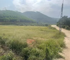CƠ HỘI ĐẦU TƯ SINH LỜI CAO ĐẤT THUỘC THỊ XÃ CHŨ- BẮC GIANG- SỞ HỮU FARM DÒNG TIỀN ỔN ĐỊNH