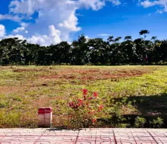 BÁN NHANH LÔ ĐẤT LỚN TÂN LẠC GIÁ SIÊU TỐT