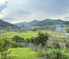 CHƯA ĐẾN 2 TỶ CÓ NGAY 1000M2 ĐẤT TT MỘC CHÂU PHÙ HỢP LÀM HOMESTAY
