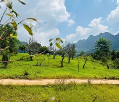Nhỉnh 1 tỷ có ngay khu đất đẹp 700m2 giữa thị trấn Mộc Châu