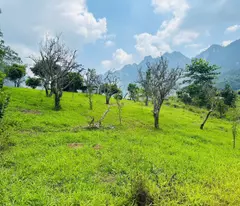 Nhỉnh 1 tỷ có ngay khu đất đẹp 700m2 giữa thị trấn Mộc Châu