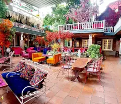 GIA CHỦ XUẤT CẢNH CẦN BÁN NHANH QUÁN CAFE SÂN VƯỜN VỊ TRÍ VÀNG NGUYỄN ẢNH THỦ TRUNG HÓC MÔN.