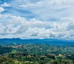 HẦNG HOT VIEW SĂN MÂY , SĂN ẢNH - 1.0.2