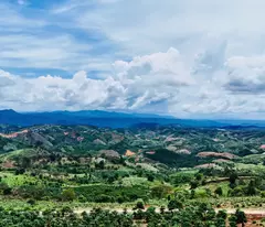 BÁN 1 SÀO ĐẤT VƯỜN VIEW SIÊU VIP - GIÁ HOT CHỈ 550K/M2