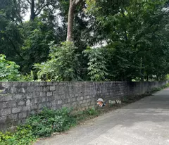 Thanh lý lô đất Cao Dương 1100m2 giá 2tr/m2, mặt tiền 20m, đường vào 2 oto. Thông tin trong bài