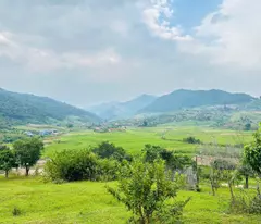 Bán nhanh cắt lỗ đất 1000m2 ngay Trung tâm Mộc Châu