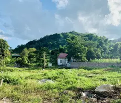 Chỉ hơn 2 tỷ  sở hữu mảnh đất  525.5m2 TT Mộc Châu phù hợp làm Homestay