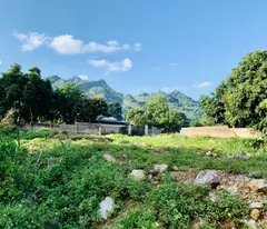 Chỉ hơn 2 tỷ  sở hữu mảnh đất  525.5m2 TT Mộc Châu phù hợp làm Homestay