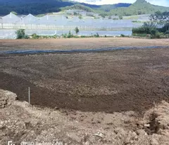 Gấp: Chính chủ bán lô đất nông nghiệp gần 7000m2 Lâm Đồng gần khu du lịch LangBiang