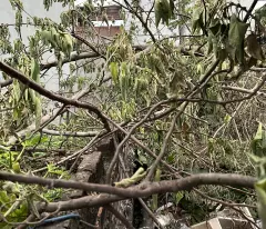 Cần bán  78m ĐẤT,MT 5m Thạch CẦU,long Biên giá 6,4 TỶ ,KD,phù hợp xây 7T thang máy,nhà dòng tiền