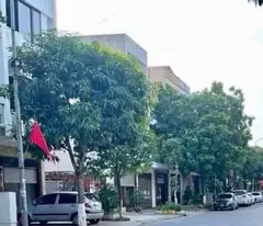 Bán Đất Tổ 4, Hoàng Diệu – Kết Nối Thuận Tiện-Vị Trí Đẹp, Giá 1.4 Tỷ